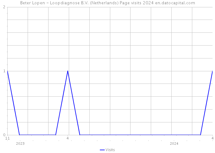 Beter Lopen - Loopdiagnose B.V. (Netherlands) Page visits 2024 