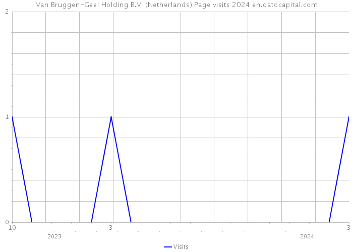 Van Bruggen-Geel Holding B.V. (Netherlands) Page visits 2024 