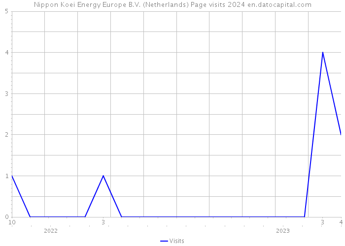 Nippon Koei Energy Europe B.V. (Netherlands) Page visits 2024 