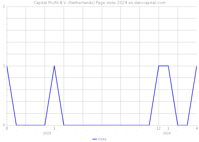 Capital Profit B.V. (Netherlands) Page visits 2024 