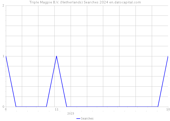 Triple Magpie B.V. (Netherlands) Searches 2024 