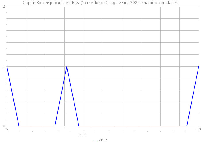 Copijn Boomspecialisten B.V. (Netherlands) Page visits 2024 