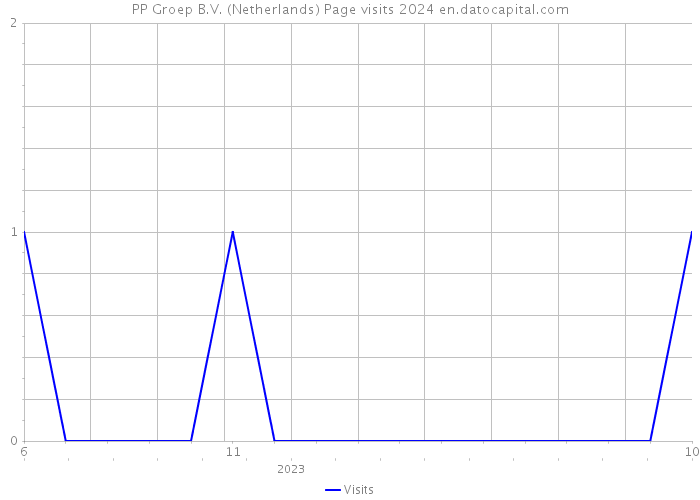 PP Groep B.V. (Netherlands) Page visits 2024 