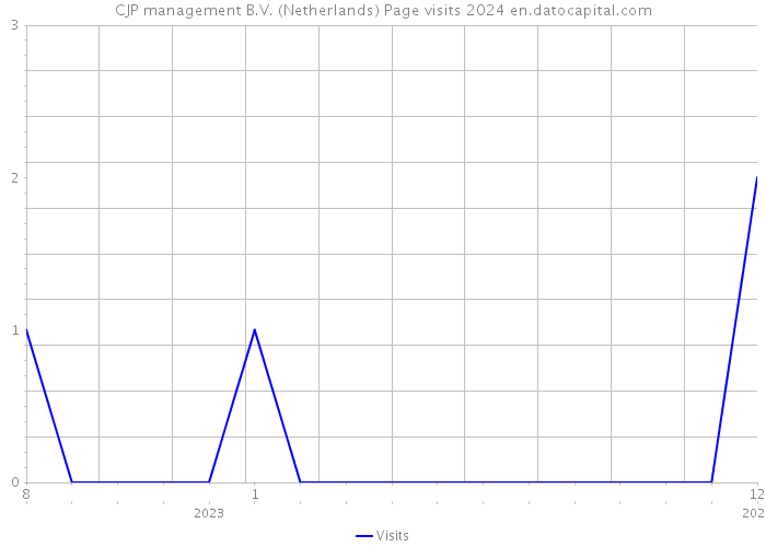 CJP management B.V. (Netherlands) Page visits 2024 