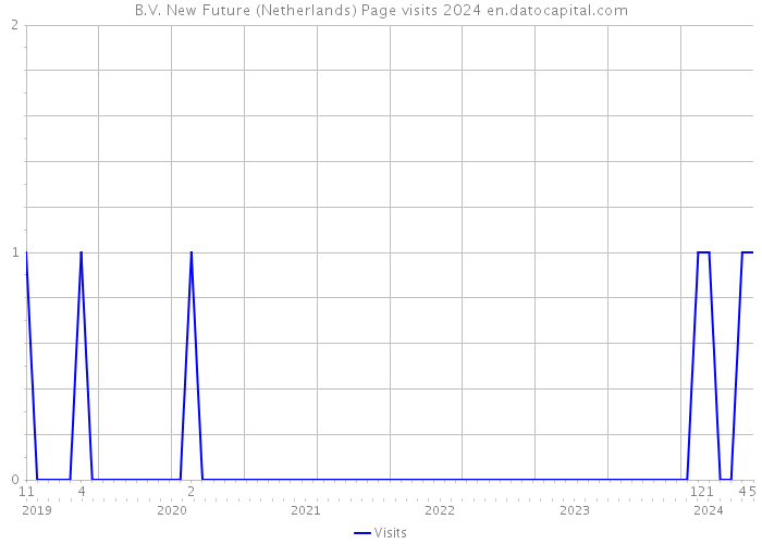 B.V. New Future (Netherlands) Page visits 2024 