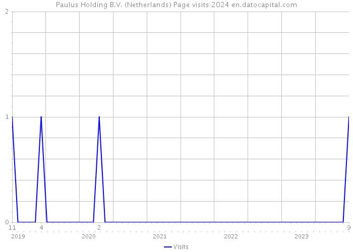 Paulus Holding B.V. (Netherlands) Page visits 2024 