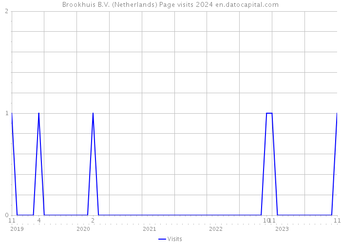 Brookhuis B.V. (Netherlands) Page visits 2024 