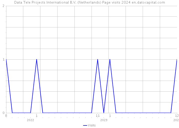 Data Tele Projects International B.V. (Netherlands) Page visits 2024 