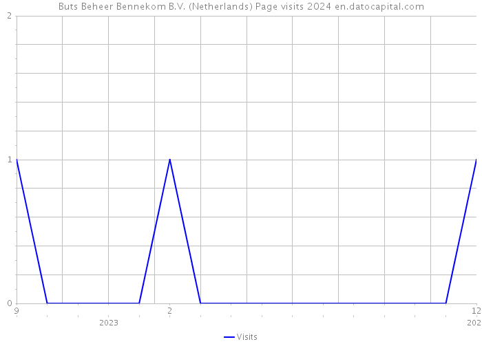 Buts Beheer Bennekom B.V. (Netherlands) Page visits 2024 