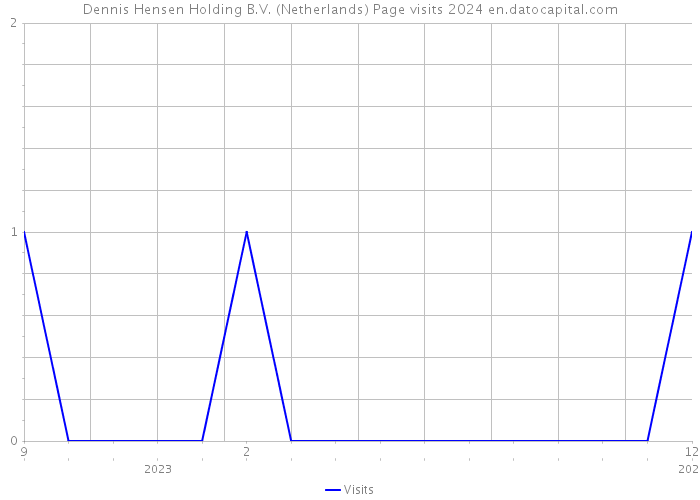 Dennis Hensen Holding B.V. (Netherlands) Page visits 2024 