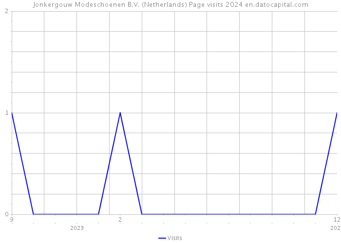 Jonkergouw Modeschoenen B.V. (Netherlands) Page visits 2024 