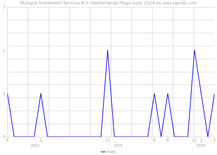 Multiple Investment Services B.V. (Netherlands) Page visits 2024 