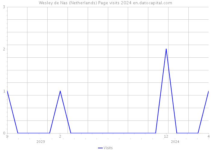 Wesley de Nas (Netherlands) Page visits 2024 