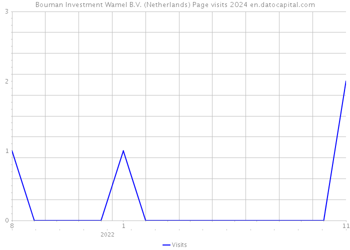 Bouman Investment Wamel B.V. (Netherlands) Page visits 2024 