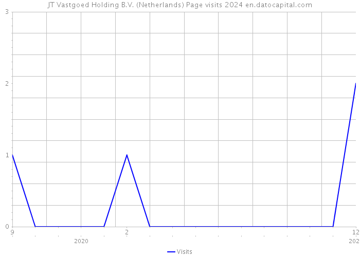 JT Vastgoed Holding B.V. (Netherlands) Page visits 2024 