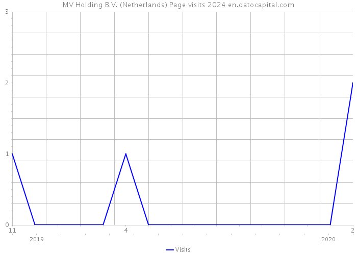 MV Holding B.V. (Netherlands) Page visits 2024 