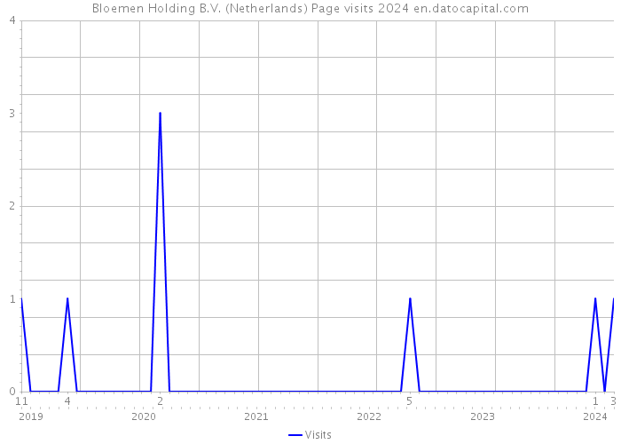 Bloemen Holding B.V. (Netherlands) Page visits 2024 