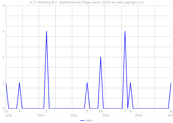 A.G. Holding B.V. (Netherlands) Page visits 2024 