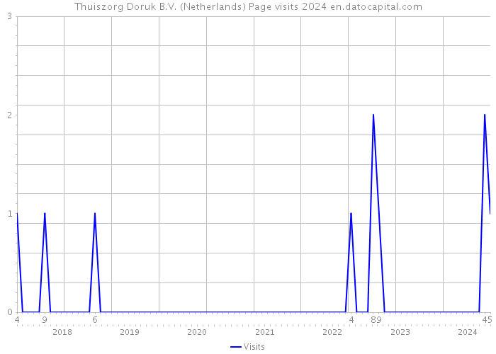Thuiszorg Doruk B.V. (Netherlands) Page visits 2024 