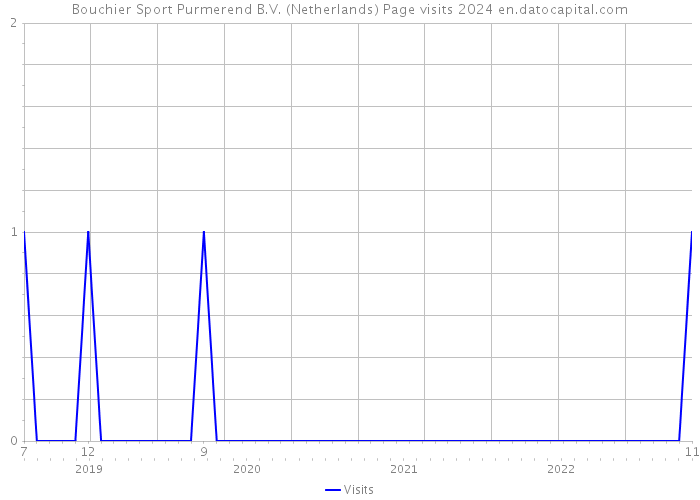 Bouchier Sport Purmerend B.V. (Netherlands) Page visits 2024 