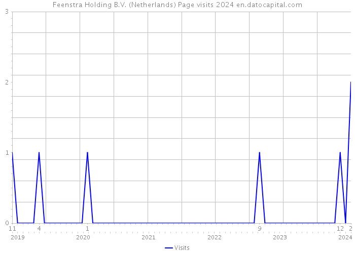 Feenstra Holding B.V. (Netherlands) Page visits 2024 