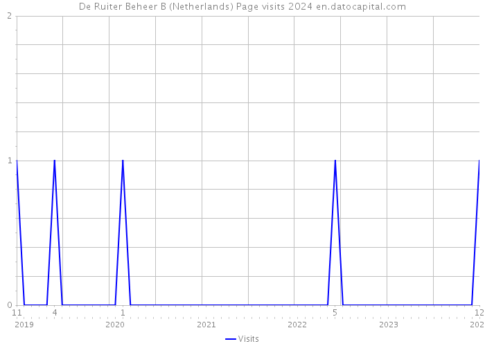 De Ruiter Beheer B (Netherlands) Page visits 2024 