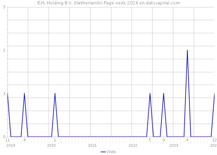 E.H. Holding B.V. (Netherlands) Page visits 2024 