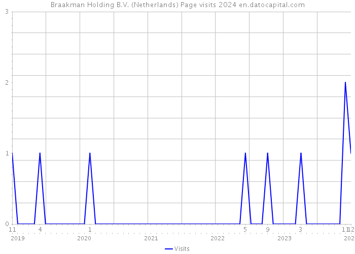 Braakman Holding B.V. (Netherlands) Page visits 2024 
