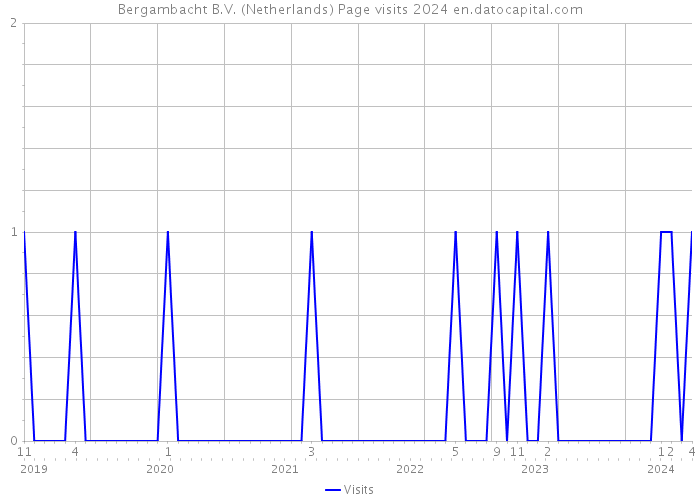 Bergambacht B.V. (Netherlands) Page visits 2024 