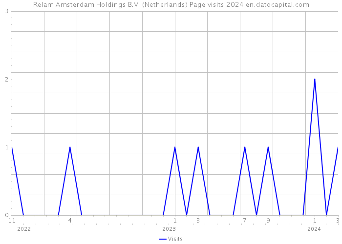 Relam Amsterdam Holdings B.V. (Netherlands) Page visits 2024 