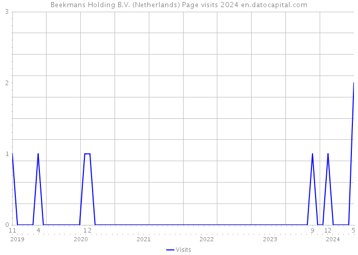 Beekmans Holding B.V. (Netherlands) Page visits 2024 