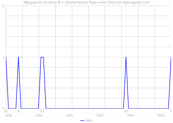 Wijngaarde Holding B.V. (Netherlands) Page visits 2024 