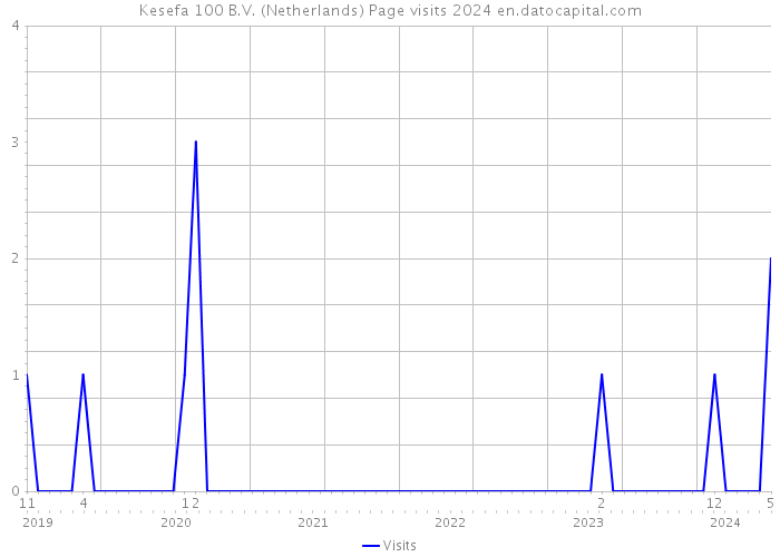 Kesefa 100 B.V. (Netherlands) Page visits 2024 