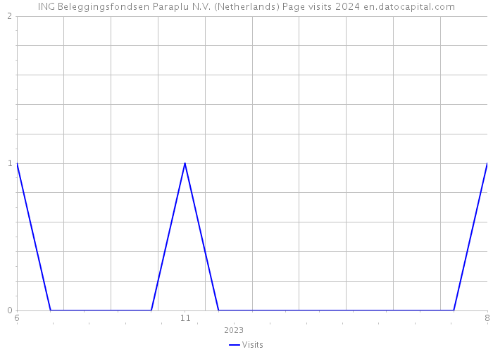 ING Beleggingsfondsen Paraplu N.V. (Netherlands) Page visits 2024 