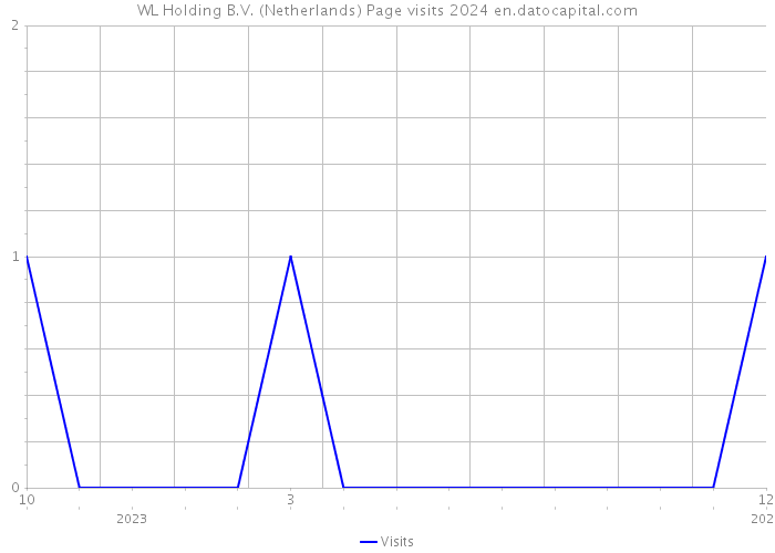 WL Holding B.V. (Netherlands) Page visits 2024 