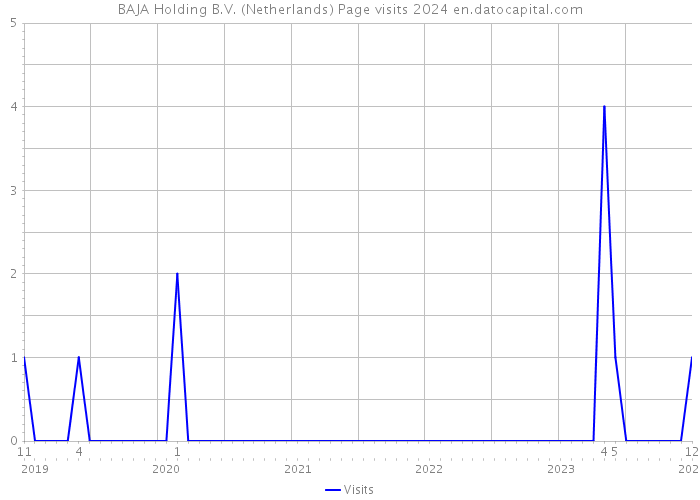 BAJA Holding B.V. (Netherlands) Page visits 2024 