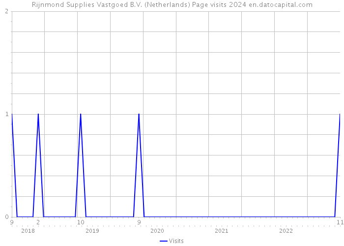 Rijnmond Supplies Vastgoed B.V. (Netherlands) Page visits 2024 
