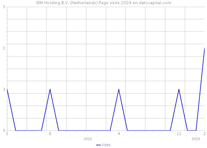 SIM Holding B.V. (Netherlands) Page visits 2024 