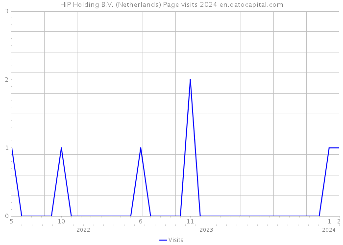 HiP Holding B.V. (Netherlands) Page visits 2024 