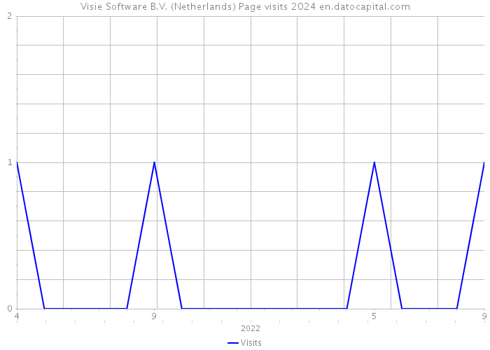 Visie Software B.V. (Netherlands) Page visits 2024 