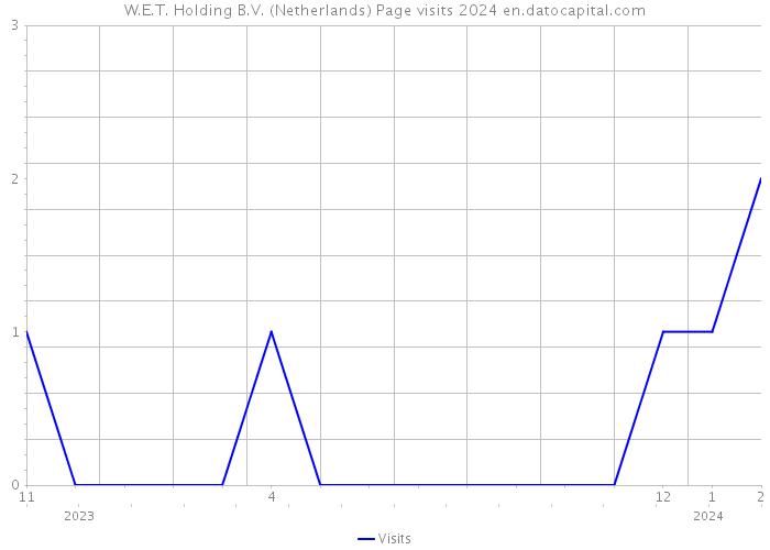 W.E.T. Holding B.V. (Netherlands) Page visits 2024 