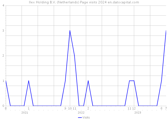 Ilex Holding B.V. (Netherlands) Page visits 2024 