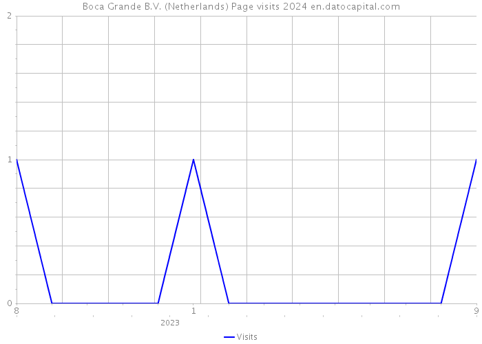 Boca Grande B.V. (Netherlands) Page visits 2024 