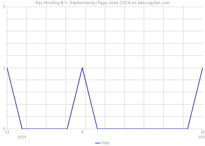 Ras Holding B.V. (Netherlands) Page visits 2024 
