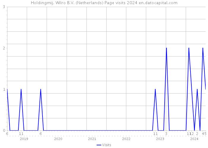 Holdingmij. Wilro B.V. (Netherlands) Page visits 2024 