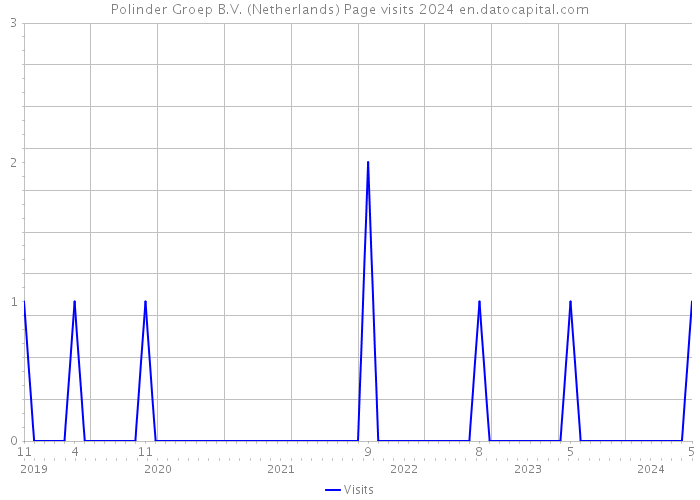 Polinder Groep B.V. (Netherlands) Page visits 2024 