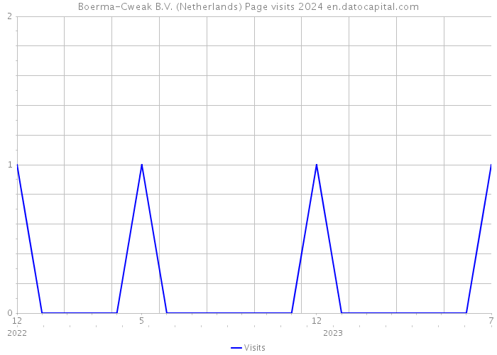 Boerma-Cweak B.V. (Netherlands) Page visits 2024 