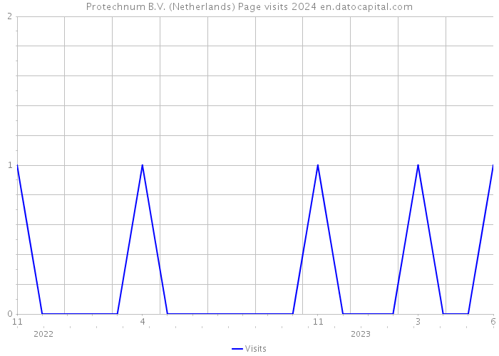 Protechnum B.V. (Netherlands) Page visits 2024 