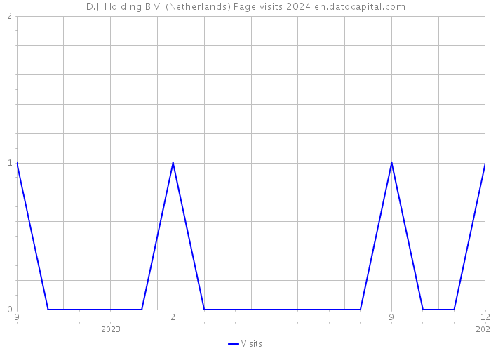 D.J. Holding B.V. (Netherlands) Page visits 2024 
