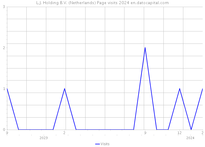 L.J. Holding B.V. (Netherlands) Page visits 2024 